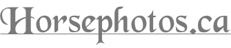 shapeimage_2_link_0