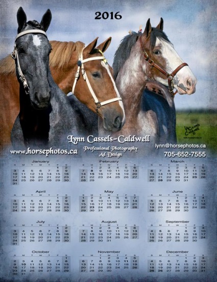 FREE printable 2016 calendar!