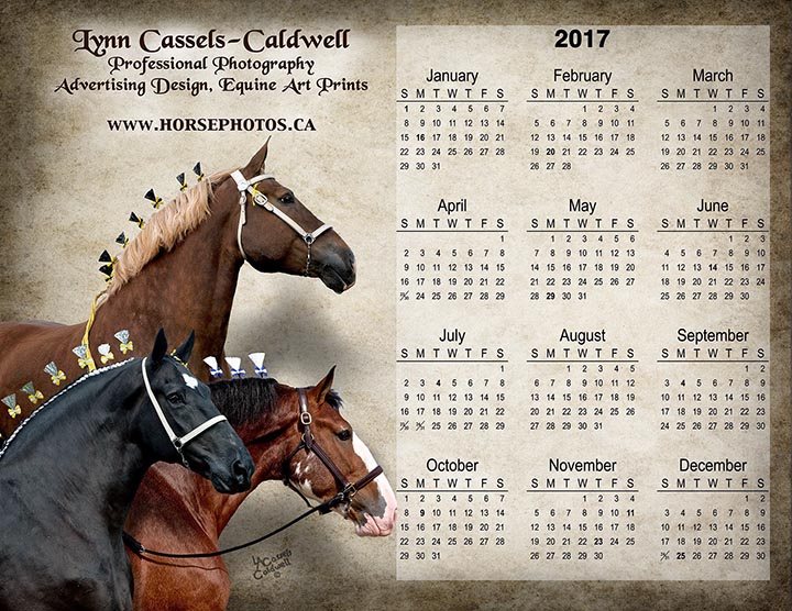 FREE printable 2017 calendar! 