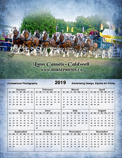 FREE 2019 Printable Calendar!